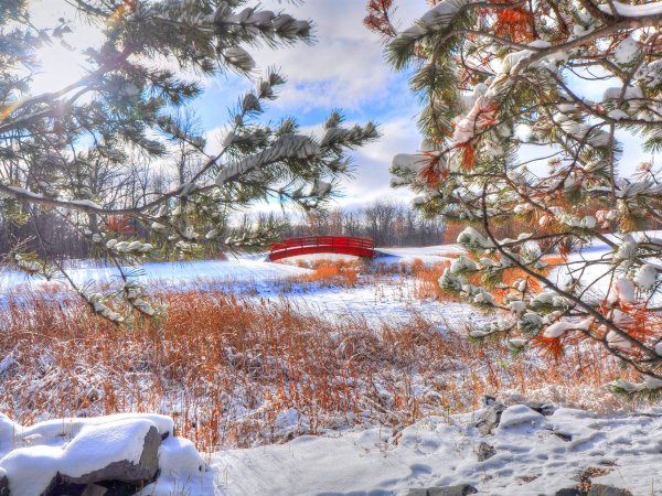 Поздняя зима