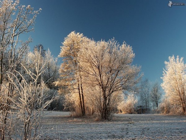 Декабрьский пейзаж