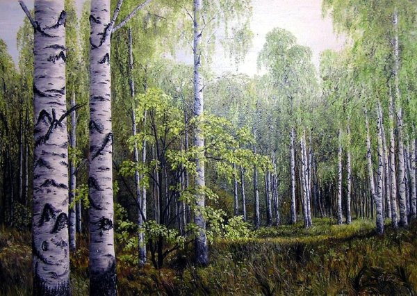 Живопись Ивана Бунина Берёзовая роща
