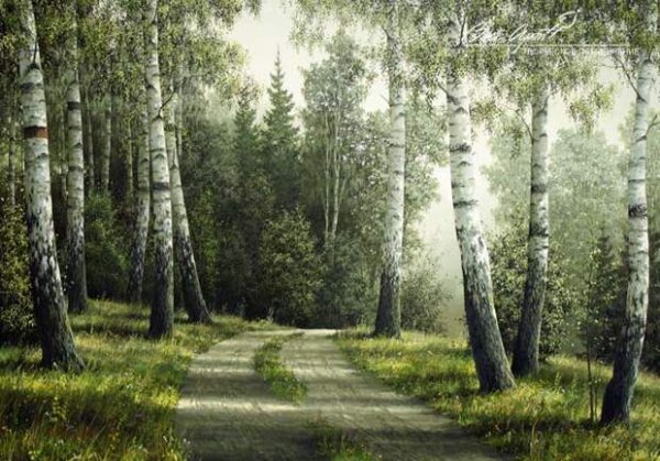 Художник Владимир Королев Березовая роща