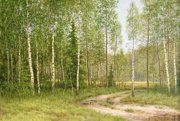 Опушка березового леса