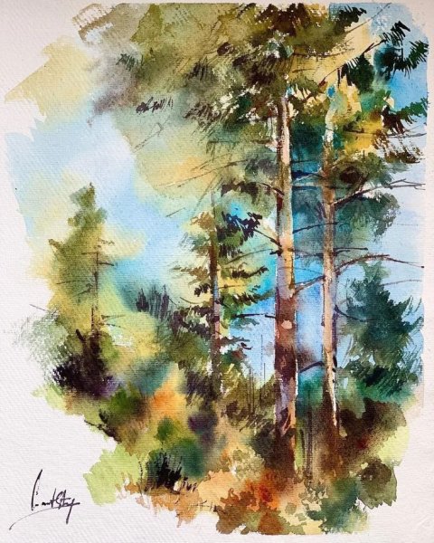Лес акварелью