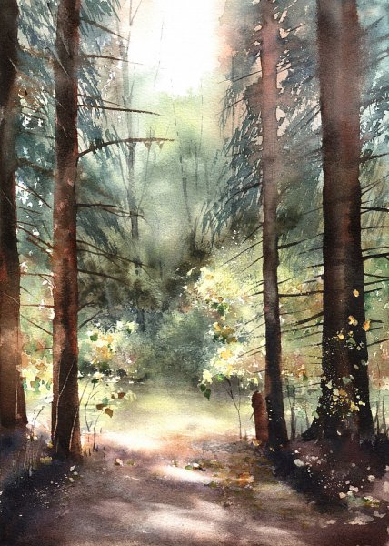 Энн Мортимер пейзажи