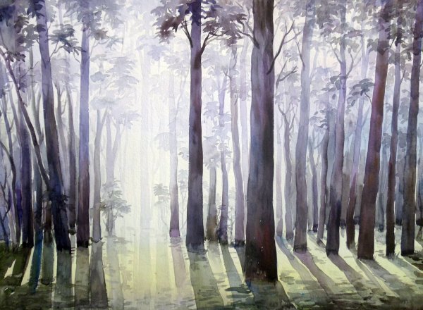 Еловый лес акварель