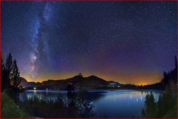 Ночная природа