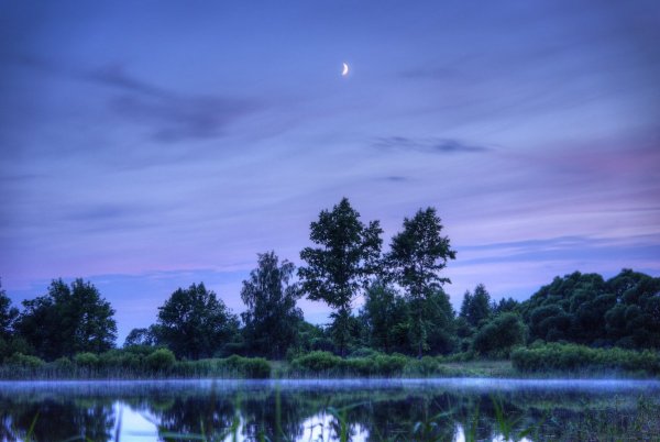 Ночной пейзаж летом