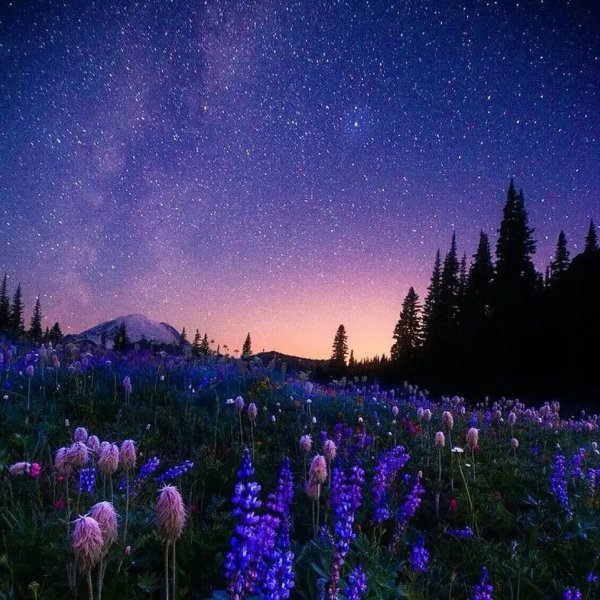 Ночной пейзаж