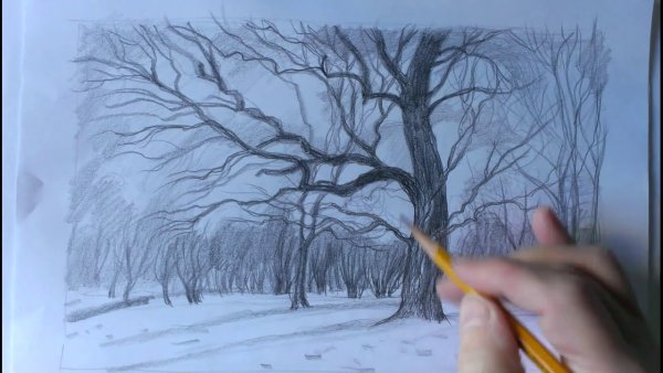 Снежный лес 2 класс рисование