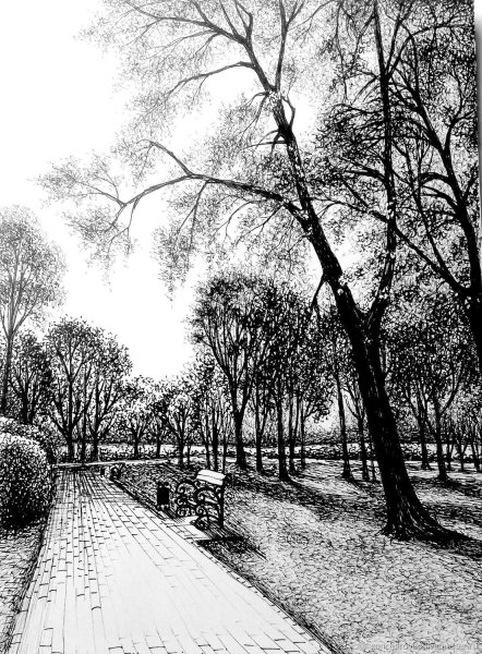 Графический пейзаж