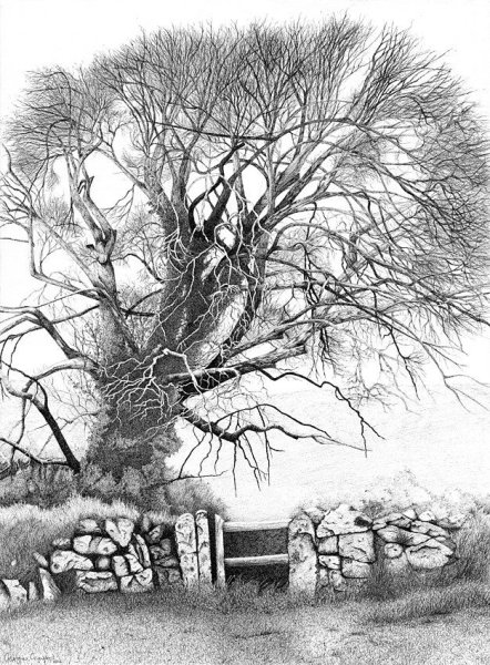 Графический набросок пейзажа