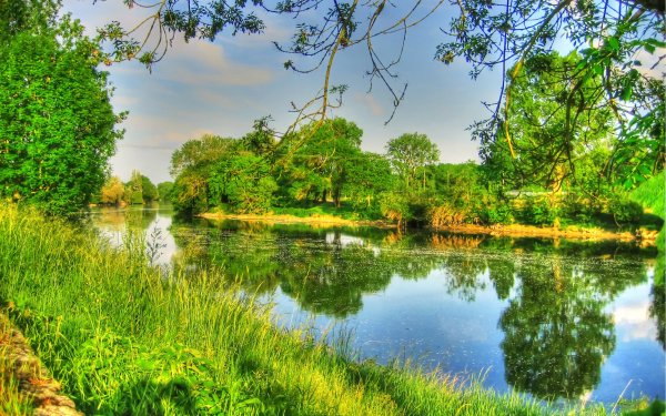 Пейзаж лето