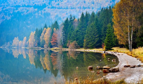 Пейзаж с отражением в воде