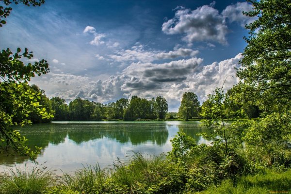 Природа лето река лес озеро