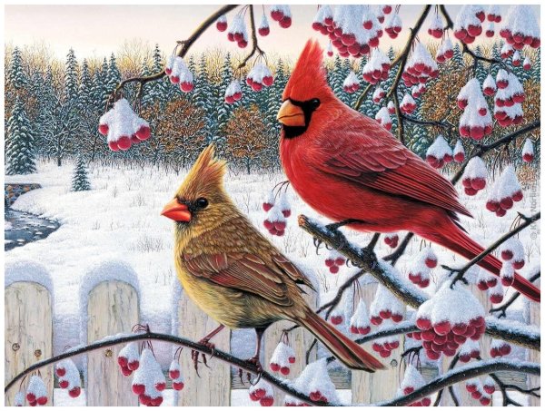 Птицы зимой живопись
