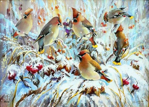 Зимний фон с птицами