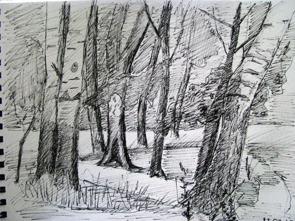 Деревня карандашом пленэр
