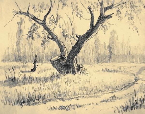 Эскиз пейзажа