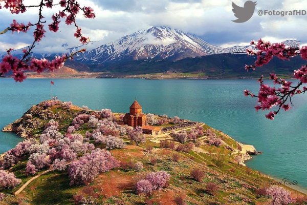 Природа и животные Турции