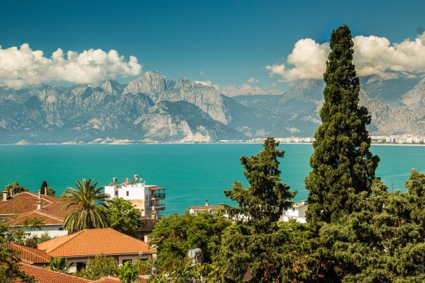 Орман Турция