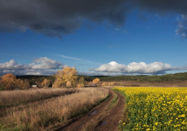 Природа Удмуртии пейзажи