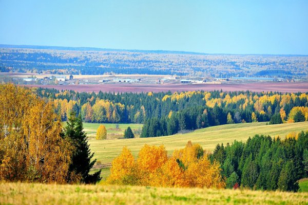 Июль Удмуртия природа Шаркан