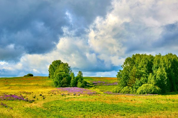 Удмуртия Родниковый край