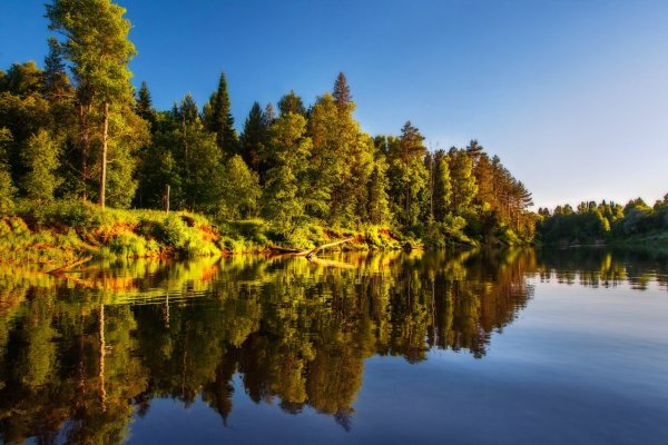 Река Кильмезь Кировская область