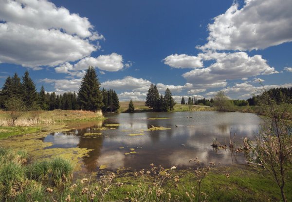 Пейзаж Завьялова Удмуртия