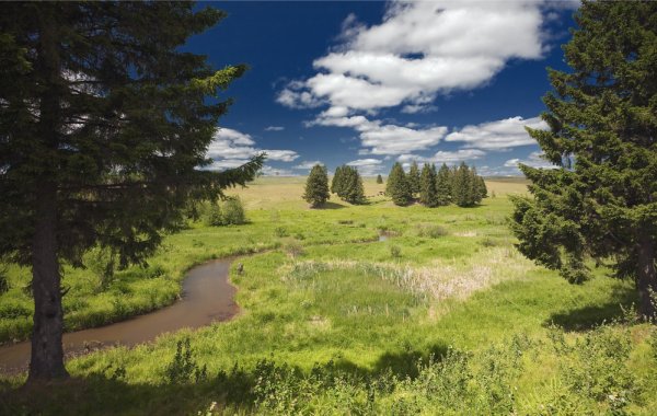 Климат Удмуртии лето