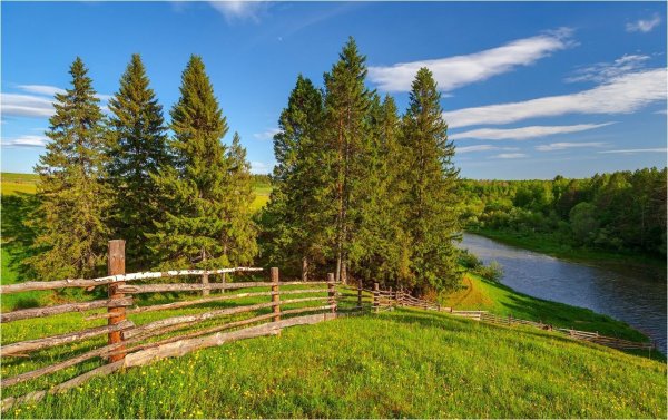 Родниковый край поле Удмуртия