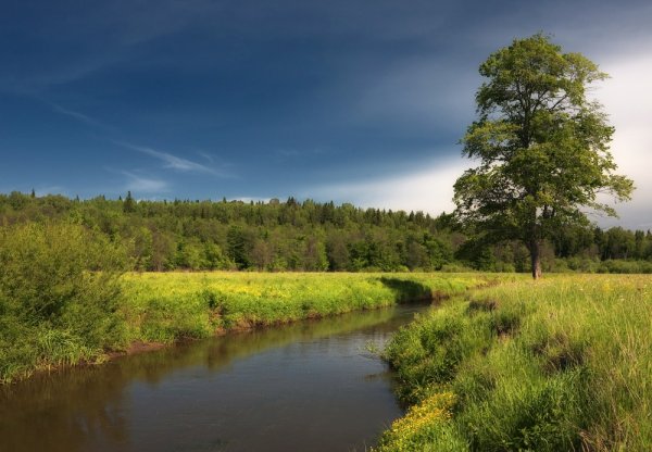 Природа Удмуртии пейзажи