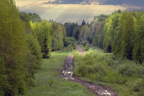 Природа Удмуртии Ижевск