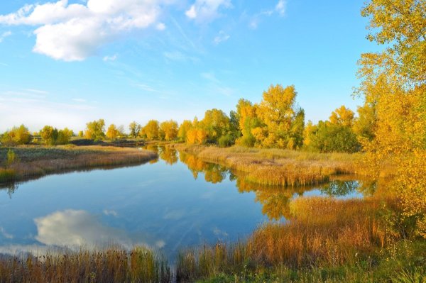 Национальный парк «Нечкинский» осень