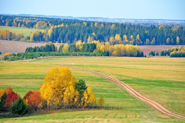 Природа Удмуртии