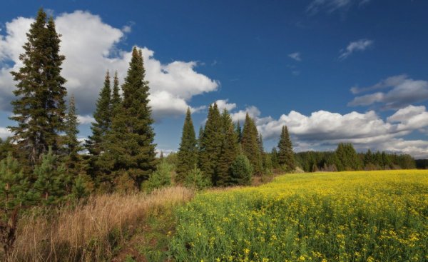 Природа Удмуртии