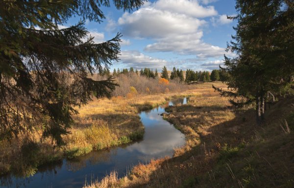 Лесной пейзаж Удмуртия