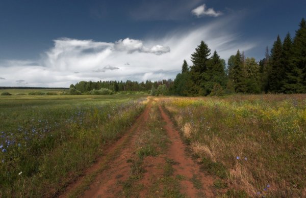 Природа Удмуртии Ижевск