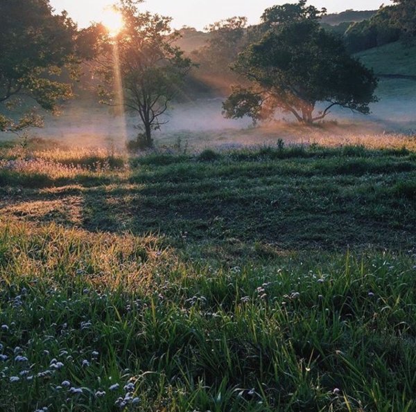 Красивые атмосферные пейзажи