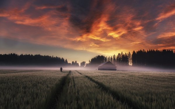 Горы в тумане