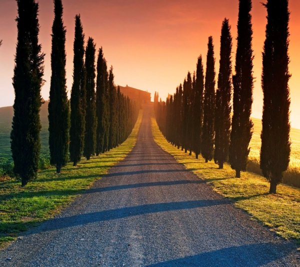 Городской пейзаж в перспективе