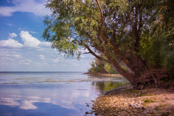 Дельта Дона парк Донской