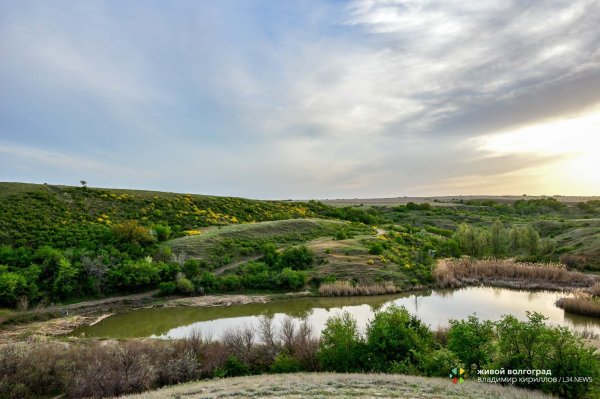 Нина художник Волгоград Вечерний город