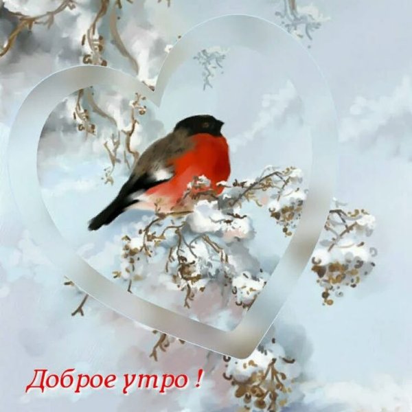 Пожелания с добрым утром зимняя природа