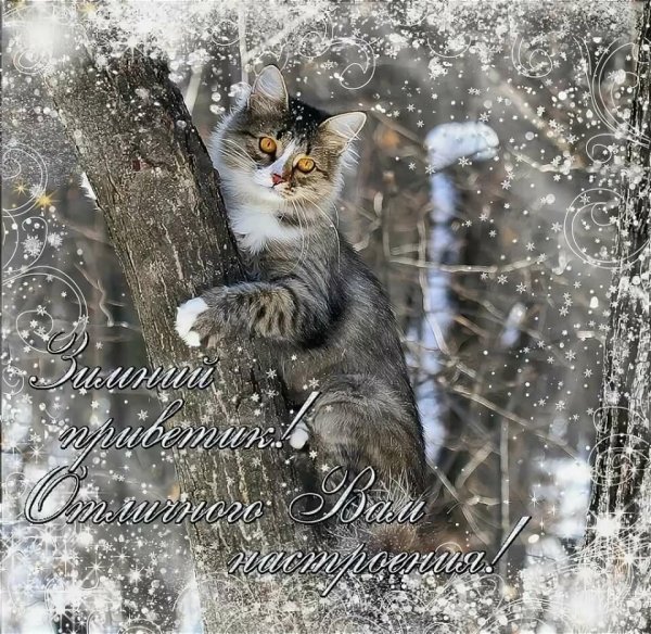 Доброе морозное утро