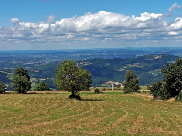 Сербия пейзаж Топола