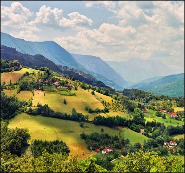 Златый Бор Сербия