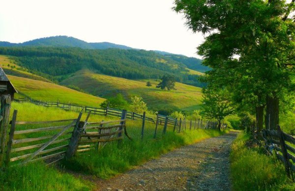 Сербия Белград природа