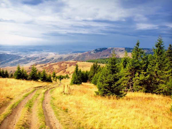 Растительный мир Сербии