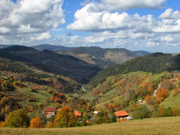 Златибор Сербия заповедник