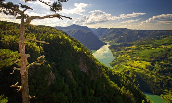 Река тара Сербия